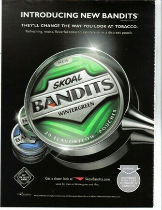 Skoal Wintergreen Logo For