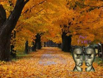 Pink Floyd Wallpaper P1q Eu Funny Pics Picture