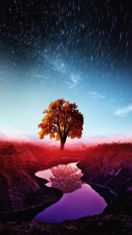 Magical Tree Of Life iPhone Wallpaper HD