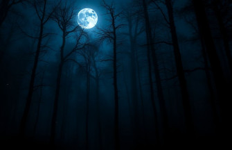 Dark HD Wallpaper 1080p