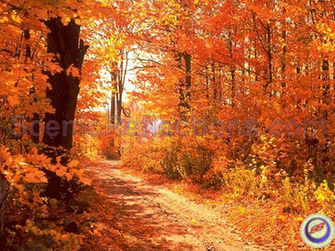 All Scenic Reflections Screensavers Include Desktop Wallpaper Support
