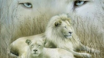 White Lion Wallpaper Desktop HD In Animals Imageci