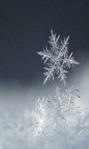 Bigger Snowflakes Live Wallpaper HD For Android Screenshot
