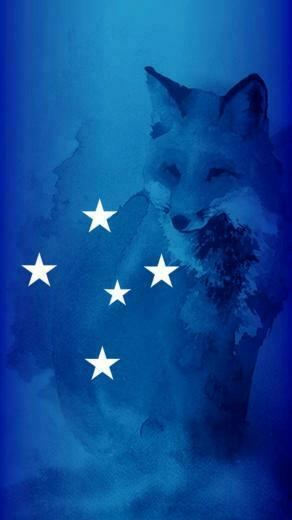 Wallpaper Do Cruzeiro Pap Is De Parede Pc E Celular