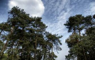 Wallpaper Nature Landscapes Landscape Image