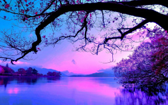 Purple Tree Wallpaper