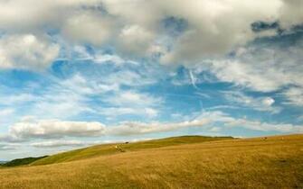 High Resolution Widescreen Wallpaper