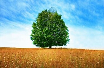Wallpaper True HD Abstract Background