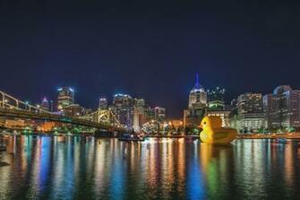 Duck And Pittsburgh Pirates Playoff Baseball Photographer