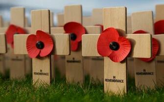 Remembrance Day In Canada Computer Desktop Wallpaper