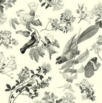 Vintage Birds
