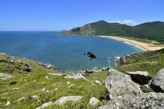 Florian Polis Best Secret Beach