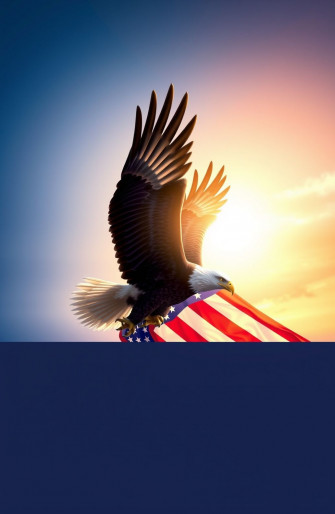 American Flag With Eagle Wallpaper