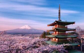 Wallpaper Trees Flowers House Mountain Spring Morning Japan