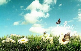 Cool Spring Wallpaper Filename 3d
