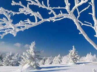 Bing Wallpaper And Screensaver Pack Winter Die Kalte Jahreszeit Von