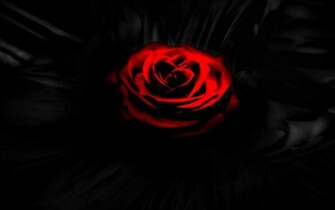 Related Pictures Dark Red Roses Wallpaper Black And Yellow Baground