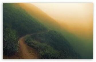 Sunol Regional Wilderness Foggy Day HD Wallpaper For Standard
