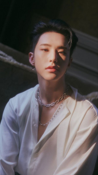 K On Kpop In Hoshi Seventeen Album