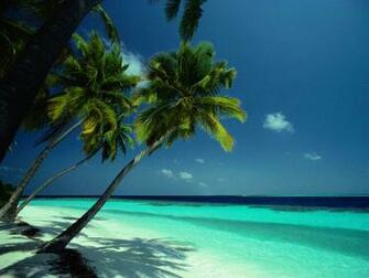 Wallpaper Windows Nature Desktop Background