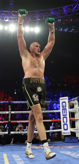 Tyson Fury Wallpaper Ixpap
