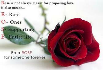 Top Happy Rose Day Quotes With HD Wallpaper