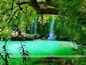 Forest Waterfall Wallpaper Imagepk