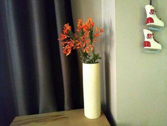 Parnassiko Guest House Arachova Greece Booking