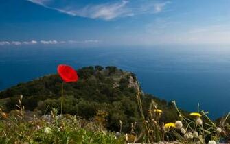 Wallpaper Sicily X Widescreen Desktop