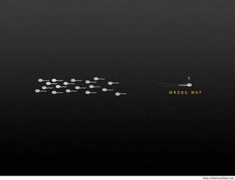 Pictures Of Funny Wallpaper