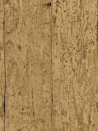 Focal Wall Paper Home Sweet