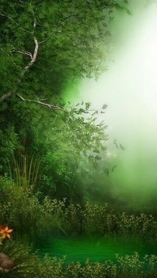 Nature Wallpaper iPhone