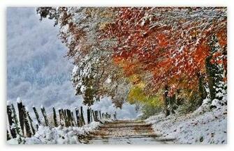 Winter HD Desktop Wallpaper Widescreen High Definition