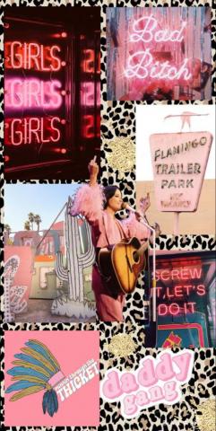 Pink Western Aesthetic Inspo iPhone Wallpaper Phone