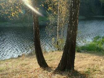 Pin Sunny Autumn Afternoon In Utrecht Wallpaper