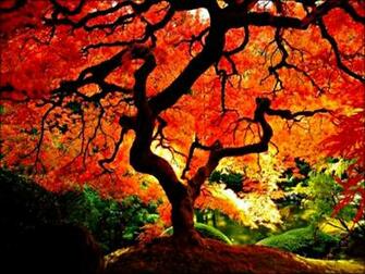 Fall Desktop Wallpaper
