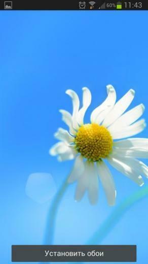 Windows Live Wallpaper Galaxy S4 Note