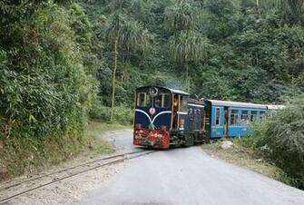 Tea Gardens Toy Train Garden Darjeeling Snowfall