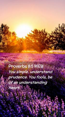 Proverbs Web Mobile Phone Wallpaper You Simple Understand