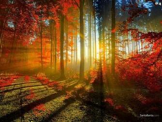 Wallpaper Outdoors Landscapes