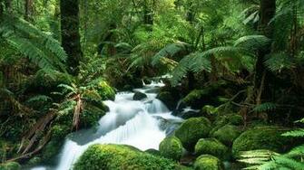 Fondo De Pantalla Tropical HD Wallpaper Hq 1080p