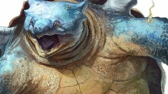 Pokemon Turtles Blastoise Wallpaper