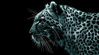Wallpaper HD Crazy Cool