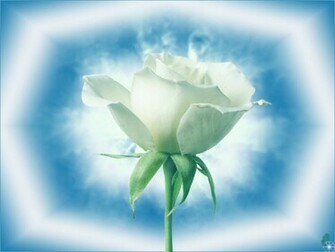 Romantic Wallpaper Desktop HD
