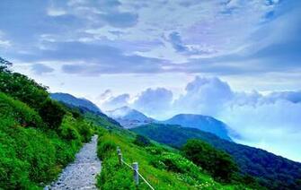 Wallpaper Of Natures Organic Plants Widescreen