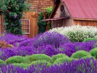 Only Nature Beautiful Garden Wallpaper