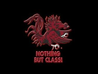 South Carolina Gamecocks College Football Wallpaper