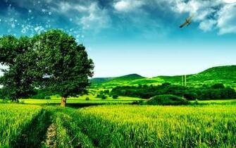 Hill Sky Landscape Wallpaper Windows