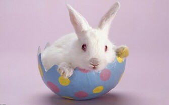 Easter HD Wallpaper Cute Bunnies Jpg