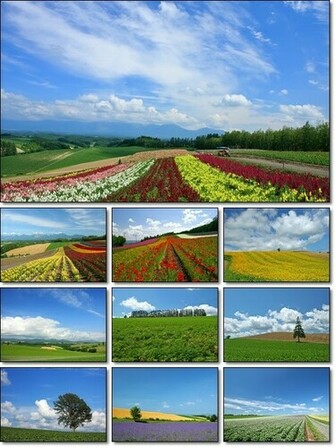 Japan Hokkaido Landscape Wallpaper Pack All Wallpaperz